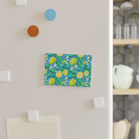 Citrus Splash Magnet