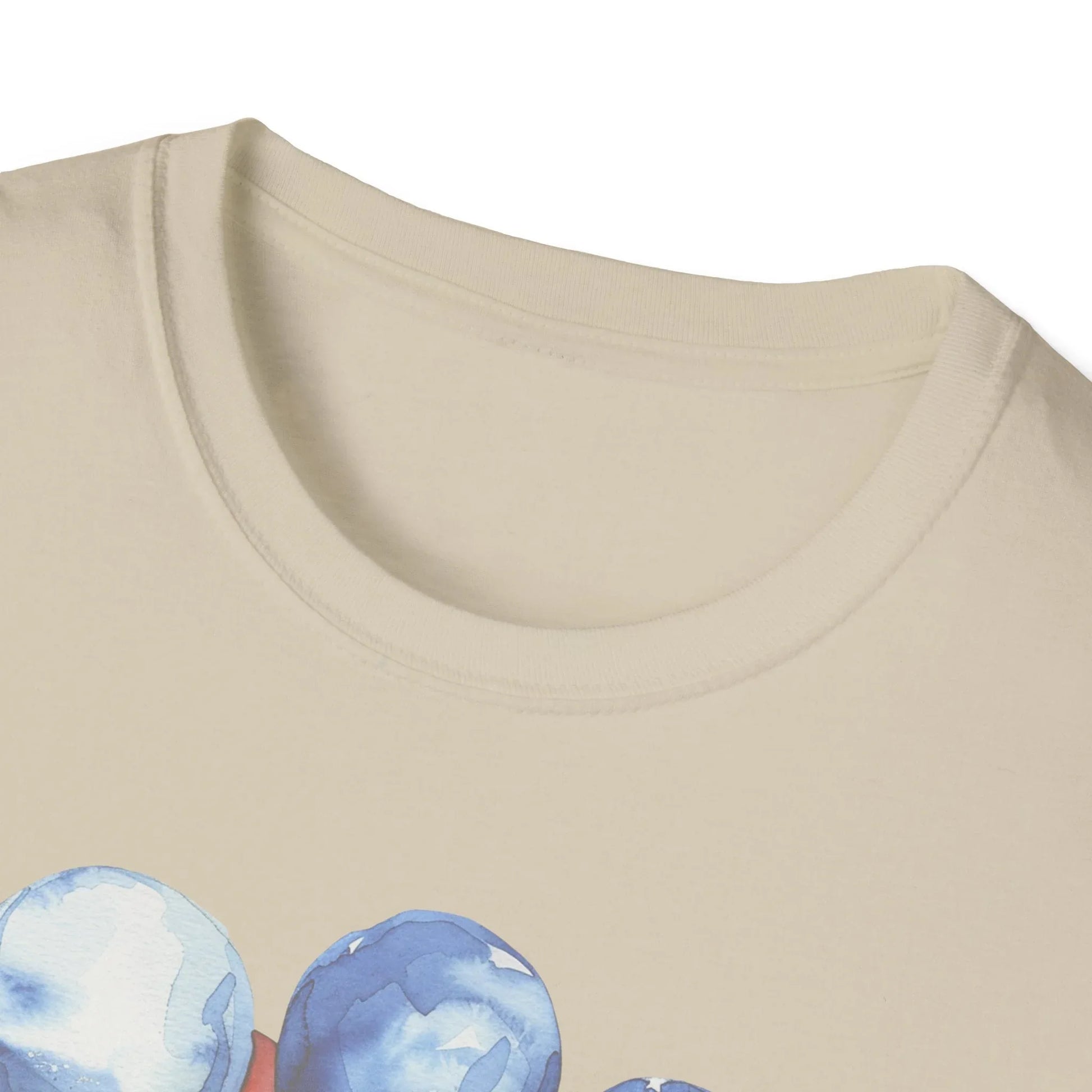 Celebrate the USA T-Shirt | Unisex